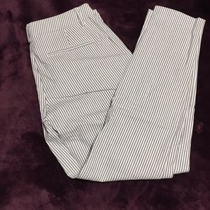 Express columnist skinny dress pant